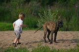 ENFANT ET CHIEN 619